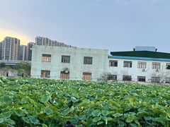-良渚(地铁站)