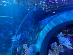 -海合安青岛极地海洋公园