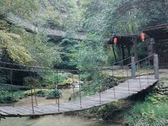 -秦巴石锅鱼(文化南路店)