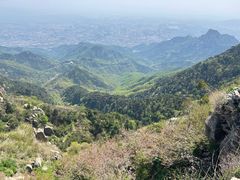 -泰山风景名胜区
