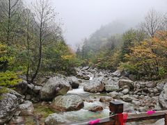 -青峰峡国家森林公园