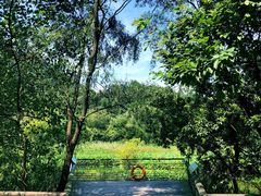 -西湖风景区-江洋畈生态公园
