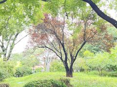 -丰台花园