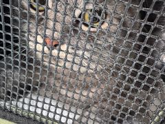-美联众合动物医院·24h京西诊疗中心