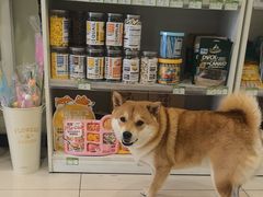 -悦宠凯宝动物医院·牙科·皮肤科(朝阳北路店)