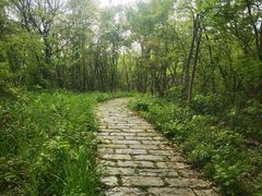 -南京老山国家森林公园