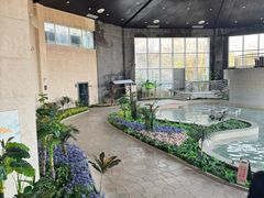 -徂徕山森林康养度假谷温泉