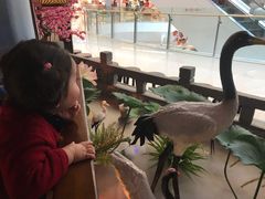 -韵秋荷(宝山龙湖天街店)