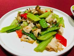 xo酱碧绿爆螺片-顺峰(农展馆店)