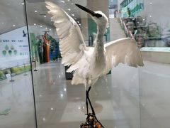 -安徽省地质博物馆