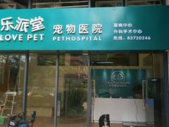 -乐派堂宠物医院·猫友好· 心脏科(东街店)