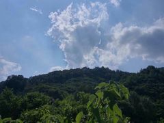 -秦岭风景区