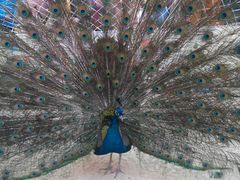 android_upload_pic-万达影城(经区九龙城店)