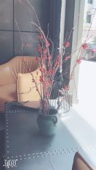 点击看大图 -onlygirl摄影美学馆高端定制(江滩店)