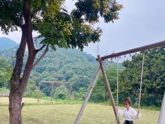 -趣多多宠物公园·宠物训犬学校·宠物寄养