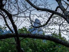 -黄山北海宾馆