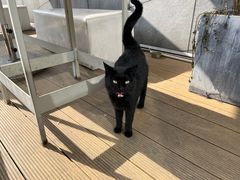 -UNI UNI(环亚凯瑟琳店)