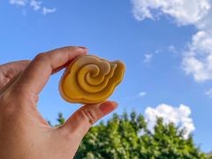 -沁园(南坪上海城店)