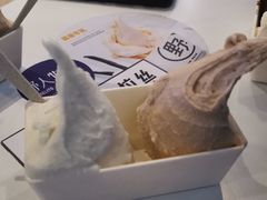 -野人牧坊Gelato(天津南开大悦城店)