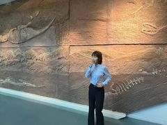 -安徽省地质博物馆