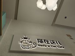 -猫在这儿猫咪咖啡馆·撸猫馆