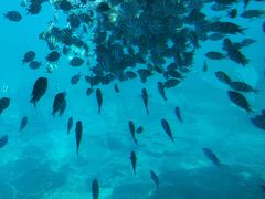 -亚龙湾海底世界