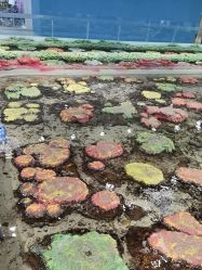 -钓虾工场·钓虾·赶海(回龙观店)