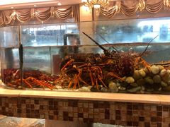 水产区-新丁香海鲜酒店(银海商贸城店)