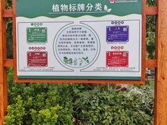 -广西壮族自治区药用植物园