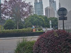 -上海中心大厦