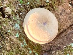 -东天目山风景区