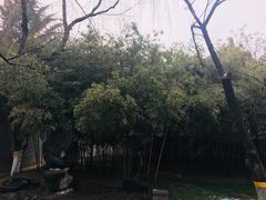 -西安青龙寺遗址景区