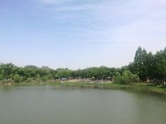 -东湖落雁景区