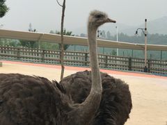 -白鹿原影视城