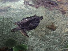 -福州罗源湾海洋世界旅游区