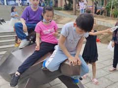 -广东惠东海龟国家级自然保护区