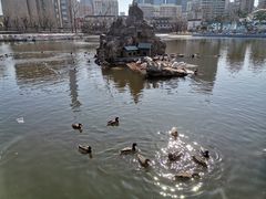 -团结湖公园