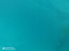 -重庆海昌加勒比海水世界