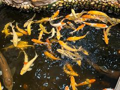 -伯乐居茶艺馆(石岐大信店)