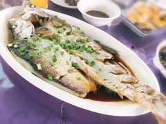 清蒸朋鱼-晓琦农家菜馆·地道农家菜