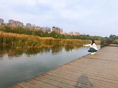-前关湿地公园