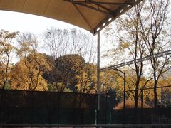 -杭州城北体育公园