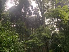 -青城山