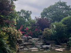 -铁山坪森林公园