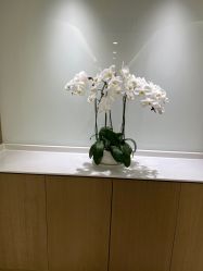 -丰联丽格医疗美容·联合丽格眼整形中心