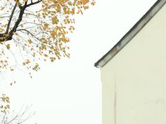 -老门东历史文化街区