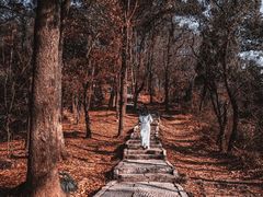 -东湖磨山景区