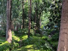 -成都市活水公园