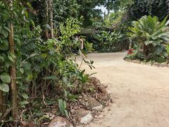 -海南热带野生动植物园