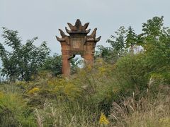 -铁山坪森林公园